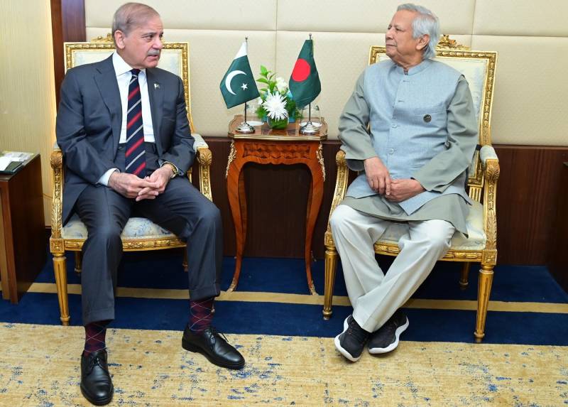 At D-8 Summit in Cairo, PM Shehbaz underlines need for investing in youth