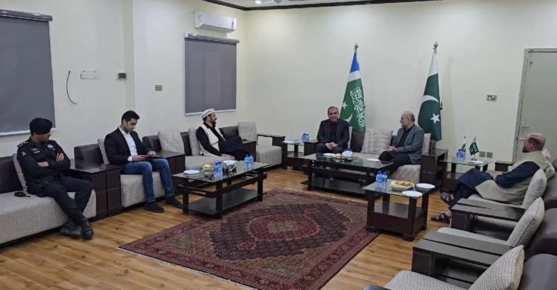 Interior minister, JI chief discuss situation in Balochistan and KP