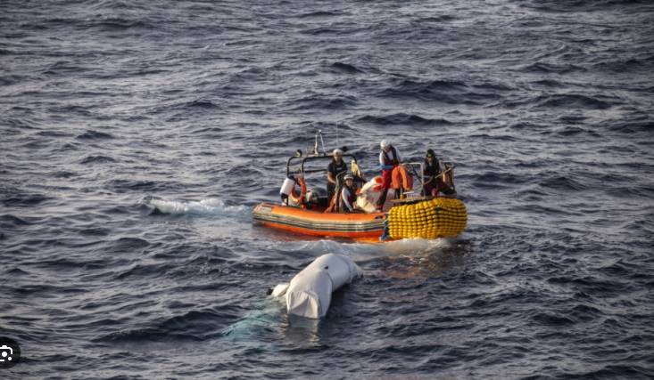 20 migrants die in shipwreck off Tunisia, five rescued