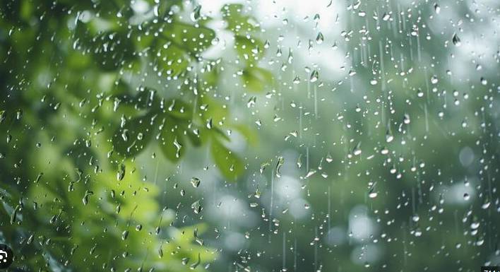 Rain in Punjab cities, including Lahore, brings prolonged dry spell to end