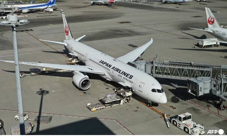 Flights delayed after Japan Airlines reports cyberattack