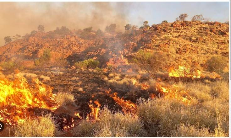 Australian bushfire burns area the size of Singapore