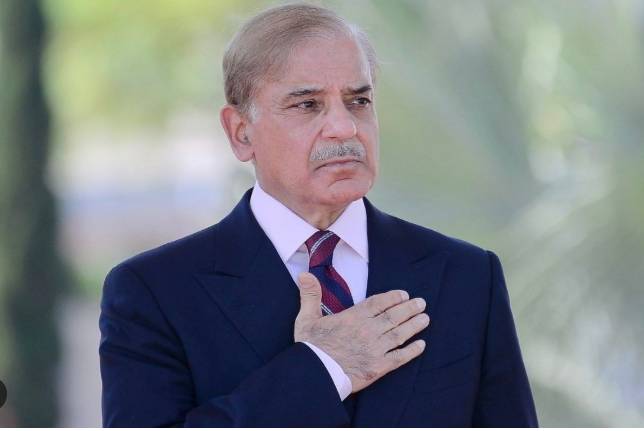 PM Shehbaz forms another committee on human smuggling