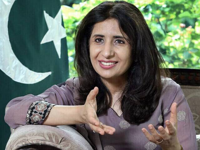 2024 was a success on diplomatic front for Pakistan, says FO spokesperson 