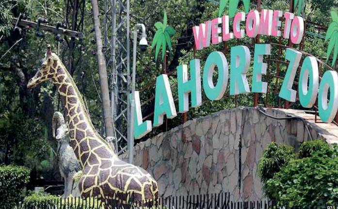 Raise in Lahore Zoo entry fee stuns visitors