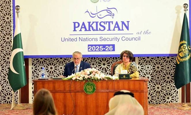 Pakistan begins two-year term as UNSC member