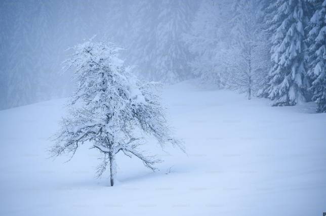 Rain, snow pound country’s north, turning weather bitterly cold