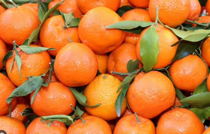 Pakistan lifts ban on export of oranges to Malaysia