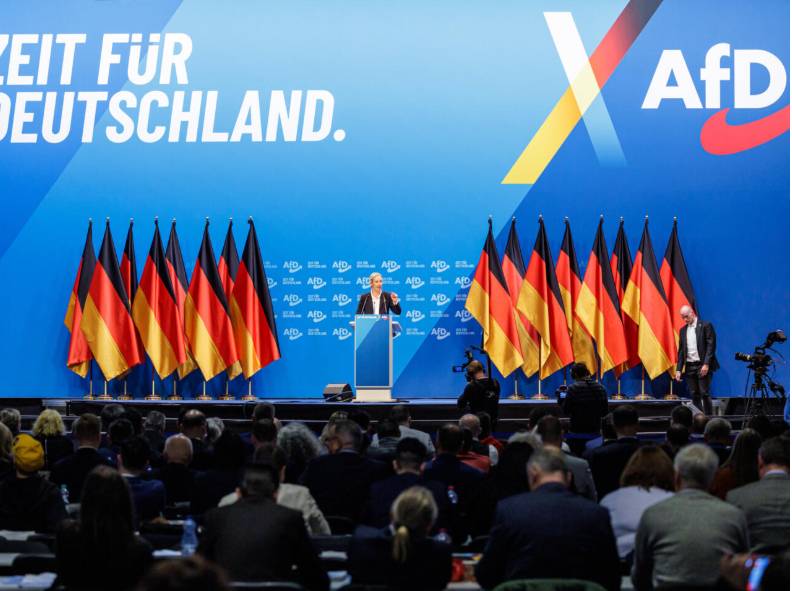 German far right emboldened by Austria