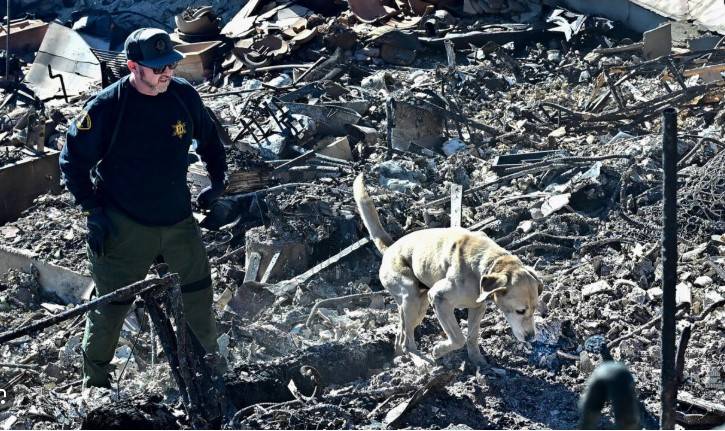 Search for bodies as LA firefighters brace for more wind