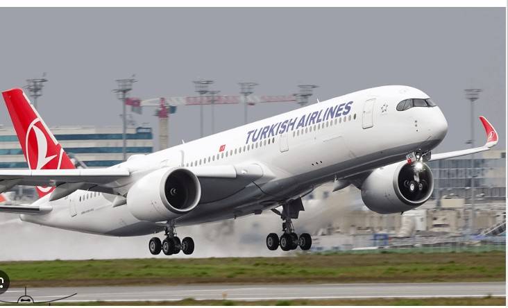 Turkish Airlines to resume flights to Damascus on Jan 23