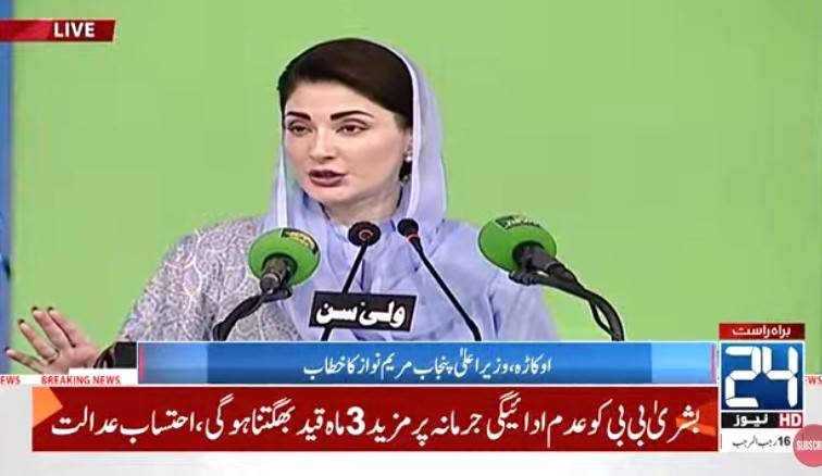 Pakistan needs unity, not anarchy, says CM Maryam