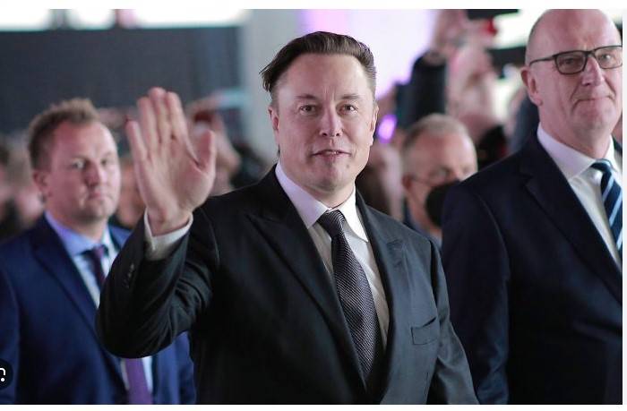 Gamers tear into Musk for 'faking' video game prowess