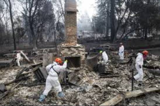 Mounted police comb fire-charred Los Angeles for bodies