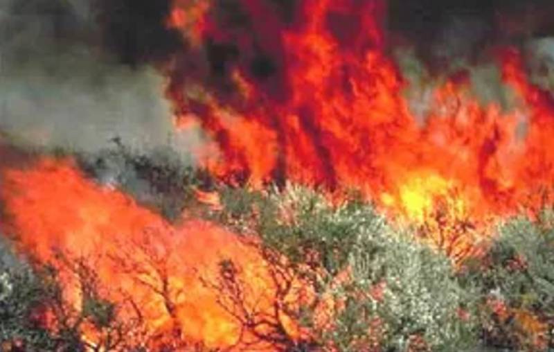 Fire breaks out on Besai Baba Pahari in Khyber's Bara area