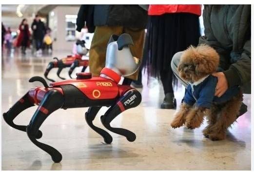 Young Chinese turn to AI pets for emotional relief