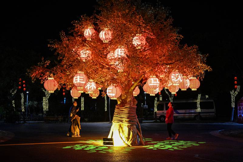 Lanterns light up southern Chinese city ahead of Lunar New Year