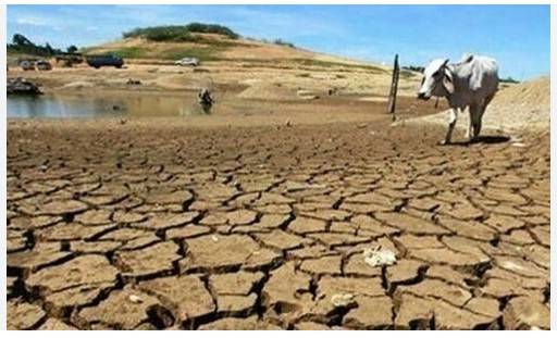 Pakistan drought dents winter harvest