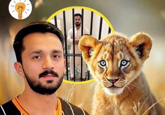 Rajab Butt to create vlogs on animal rights every month, rules judge 