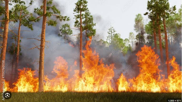 Fire again erupts in Khyber, Upper Dir jungles 