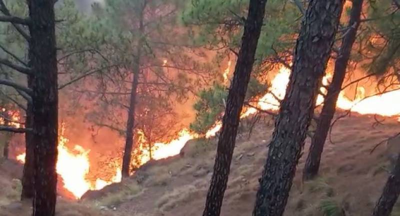 Wildfire rages through Nikyal’s forests in Azad Kashmir