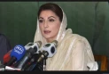 CM Maryam slaps total ban on postings and transfers